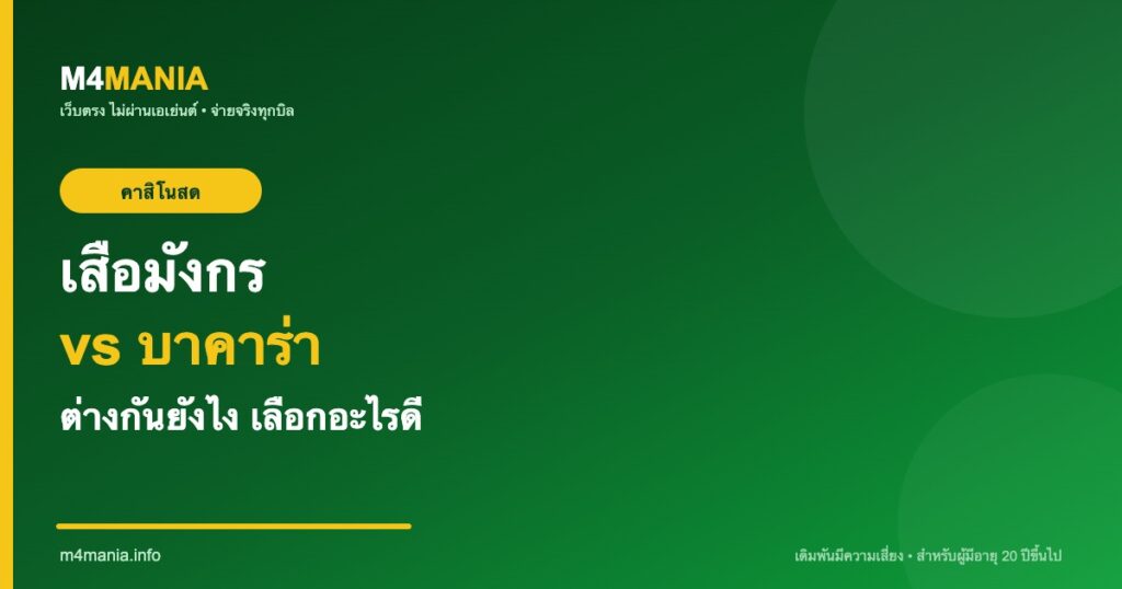 เสือมังกร vs บาคาร่า ต่างกันยังไง M4MANIA