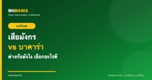 เสือมังกร vs บาคาร่า ต่างกันยังไง M4MANIA